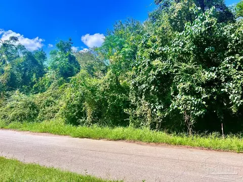 lot16 Sid Hayes Rd, Jay, FL 32565 photo 8