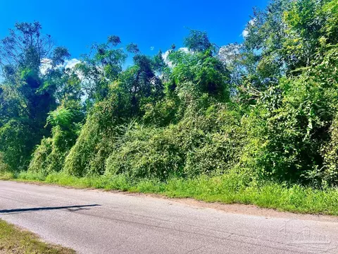 lot16 Sid Hayes Rd, Jay, FL 32565 photo 9