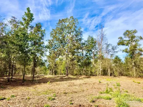 lot10 Bs Buffalo Ridge Rd, Pace, FL 32571 photo 3
