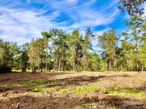 lot10 Bs Buffalo Ridge Rd, Pace, FL 32571 photo 15