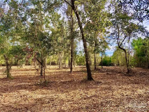 lot10 Bs Buffalo Ridge Rd, Pace, FL 32571 photo 7