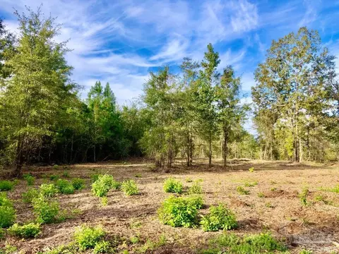 lot10 Bs Buffalo Ridge Rd, Pace, FL 32571