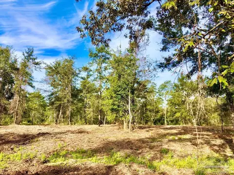 lot10 Bs Buffalo Ridge Rd, Pace, FL 32571 photo 14