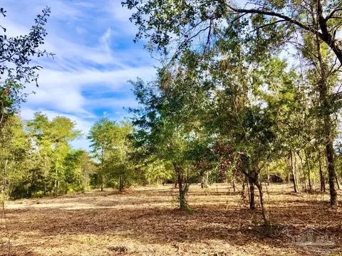 lot10 Bs Buffalo Ridge Rd, Pace, FL 32571 photo 8