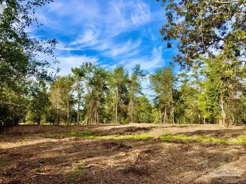 lot10 Bs Buffalo Ridge Rd, Pace, FL 32571 photo 4