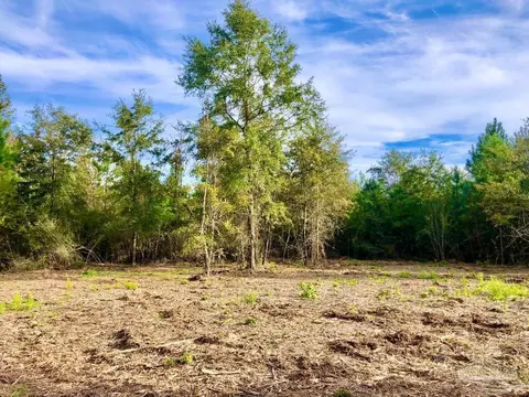 lot10 Bs Buffalo Ridge Rd, Pace, FL 32571 photo 10