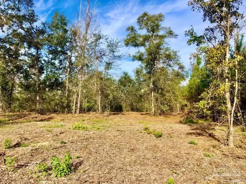 lot10 Bs Buffalo Ridge Rd, Pace, FL 32571 photo 11