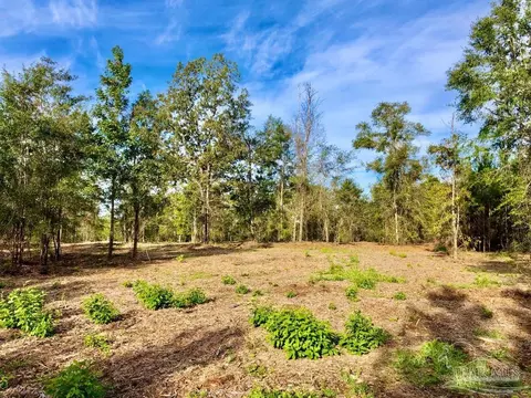 lot10 Bs Buffalo Ridge Rd, Pace, FL 32571 photo 2