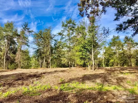 lot10 Bs Buffalo Ridge Rd, Pace, FL 32571 photo 5