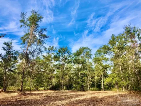 lot10 Bs Buffalo Ridge Rd, Pace, FL 32571 photo 6