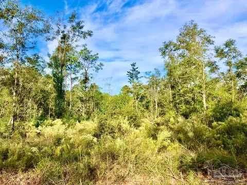 lot10 Bs Buffalo Ridge Rd, Pace, FL 32571 photo 9