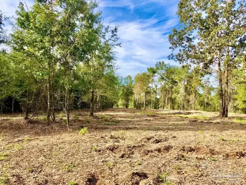 lot10 Bs Buffalo Ridge Rd, Pace, FL 32571 photo 13
