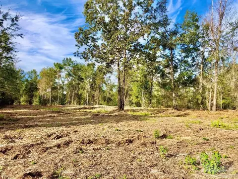 lot10 Bs Buffalo Ridge Rd, Pace, FL 32571 photo 12
