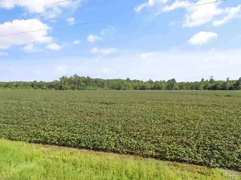 Parcel 3 Mineral Springs Rd, Jay, FL 32565