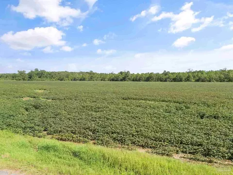 Parcel 5 Mineral Springs Rd, Jay, FL 32565