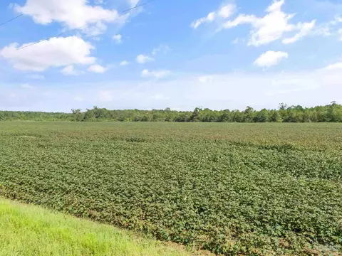 Parcel 6 Mineral Springs Rd, Jay, FL 32565