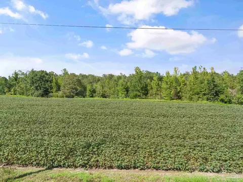 Parcel 12 Sid Hayes Rd, Jay, FL 32565 photo 2