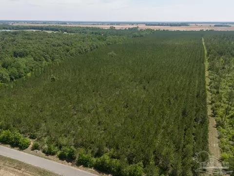 lot7 Bud Diamond Rd, Jay, FL 32565 photo 14