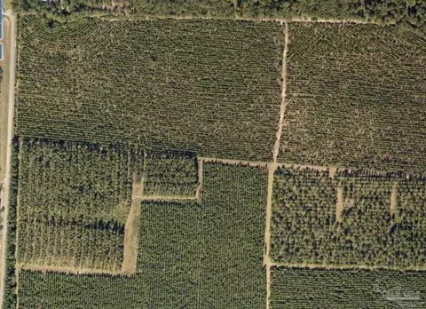 lot7 Bud Diamond Rd, Jay, FL 32565 photo 2