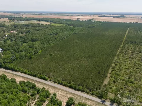 lot7 Bud Diamond Rd, Jay, FL 32565 photo 11