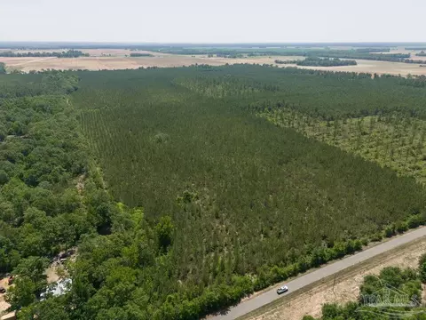 lot7 Bud Diamond Rd, Jay, FL 32565 photo 10