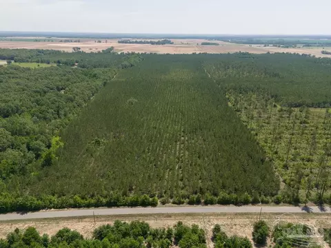 lot7 Bud Diamond Rd, Jay, FL 32565 photo 6