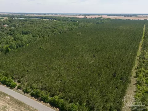 lot7 Bud Diamond Rd, Jay, FL 32565 photo 18