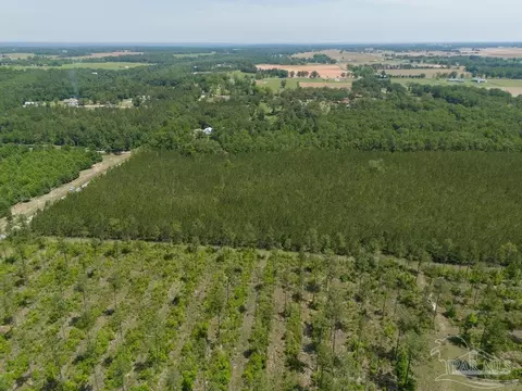 lot7 Bud Diamond Rd, Jay, FL 32565 photo 13