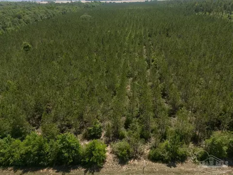 lot7 Bud Diamond Rd, Jay, FL 32565 photo 9