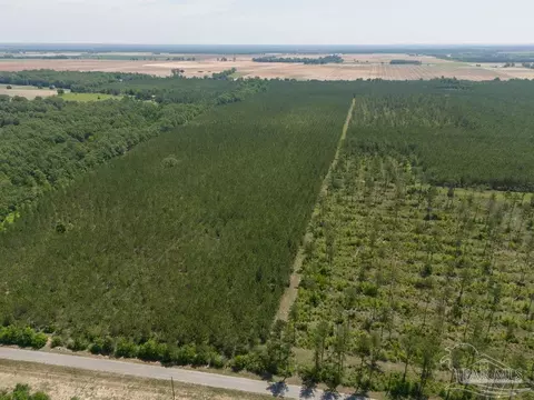 lot7 Bud Diamond Rd, Jay, FL 32565 photo 16