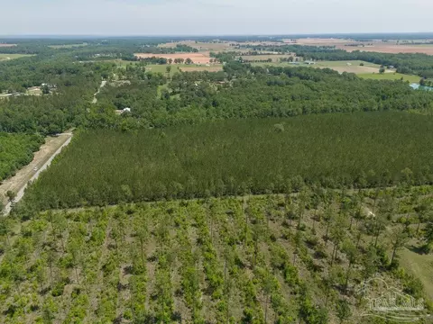 lot7 Bud Diamond Rd, Jay, FL 32565 photo 5