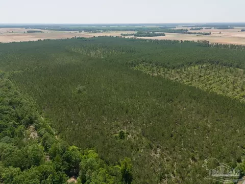lot7 Bud Diamond Rd, Jay, FL 32565 photo 19