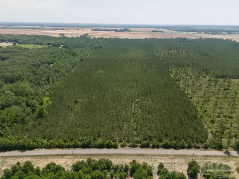 lot7 Bud Diamond Rd, Jay, FL 32565