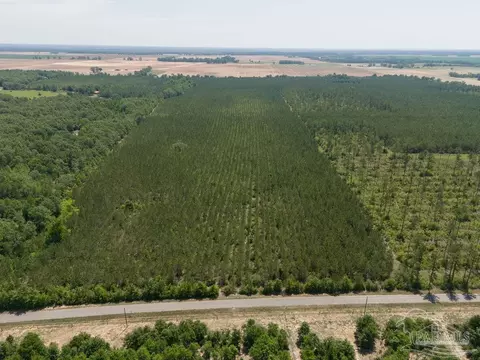 lot7 Bud Diamond Rd, Jay, FL 32565 photo 21