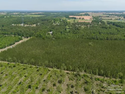 lot7 Bud Diamond Rd, Jay, FL 32565 photo 12