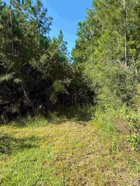 1645 Annie Penton Rd, Jay, FL 32565 photo 51