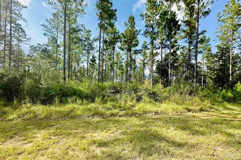 0000 Sage Forest Ln, Pace, FL 32571 photo 4