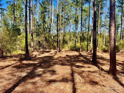 lot46 Naturewalk Dr, Pace, FL 32571 photo 8