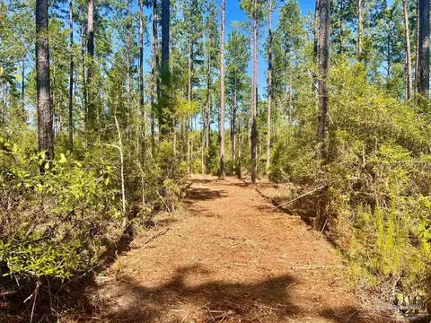 lot46 Naturewalk Dr, Pace, FL 32571 photo 3