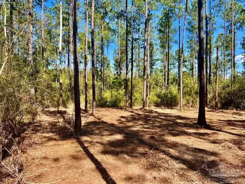 lot46 Naturewalk Dr, Pace, FL 32571 photo 6