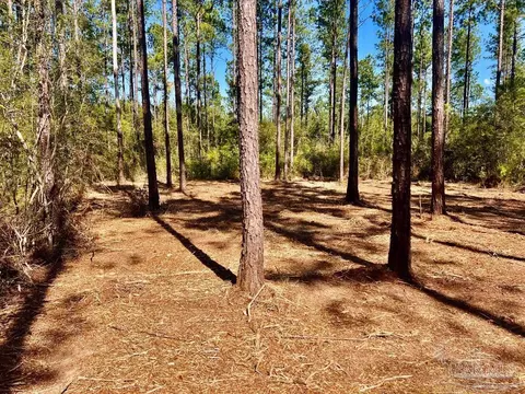 lot46 Naturewalk Dr, Pace, FL 32571 photo 7