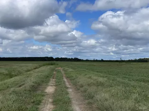 5700 Block Pine Forest Rd, Walnut Hill, FL 32568 photo 31