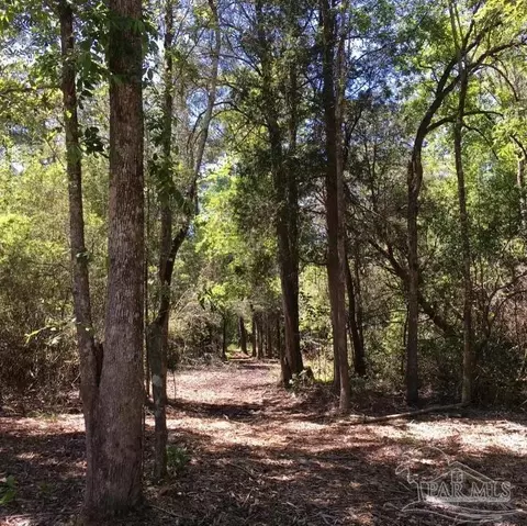 2254 Wallace Lake Rd, Pace, FL 32571 photo 10