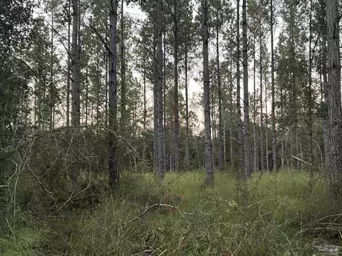 lot1 Wallace Lake Rd, Pace, FL 32571