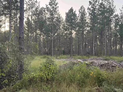 lot4 Wallace Lake Rd, Pace, FL 32571