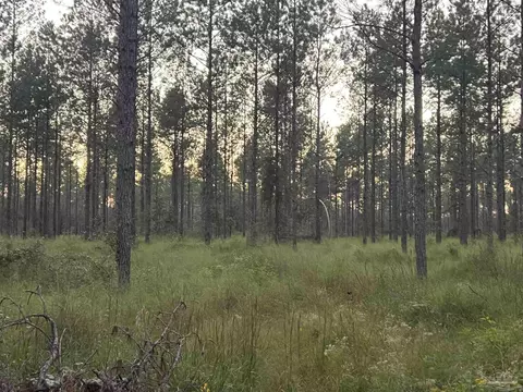 lot6 Wallace Lake Rd, Pace, FL 32571