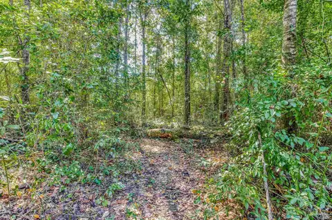 5203 Spring St, Pace, FL 32571 photo 24
