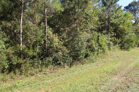 3424 Robinson Point Rd, Milton, FL 32583 photo 4