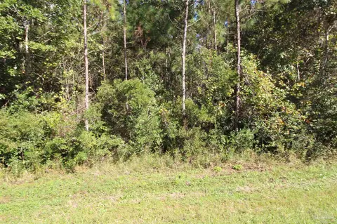 3424 Robinson Point Rd, Milton, FL 32583 photo 3