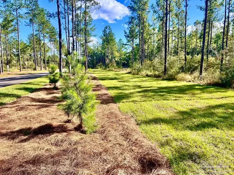 lot80 Naturewalk Dr, Pace, FL 32571 photo 9